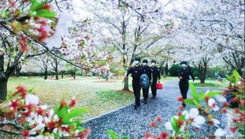 湖南保安服務,墻外高空清洗服務,湖南保利天創物業發展有限公司