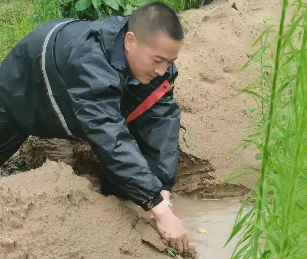 湖南保安服務,墻外高空清洗服務,湖南保利天創物業發展有限公司