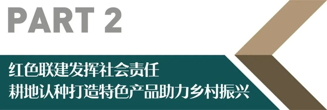 湖南保安服務(wù),墻外高空清洗服務(wù),湖南保利天創(chuàng)物業(yè)發(fā)展有限公司