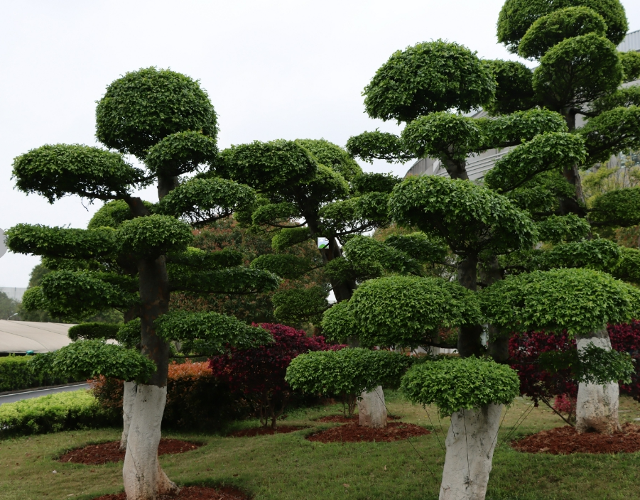 湖南保安服務(wù),墻外高空清洗服務(wù),湖南保利天創(chuàng)物業(yè)發(fā)展有限公司